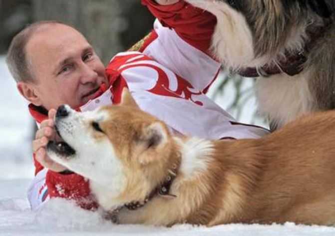愛犬と戯れるプーチン大統領